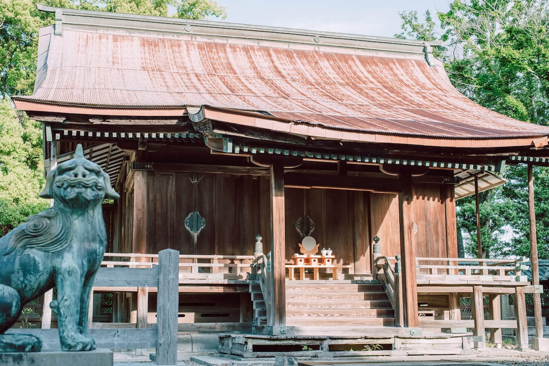 令和の大改修事業 本殿修理事業 現地見学会のご案内