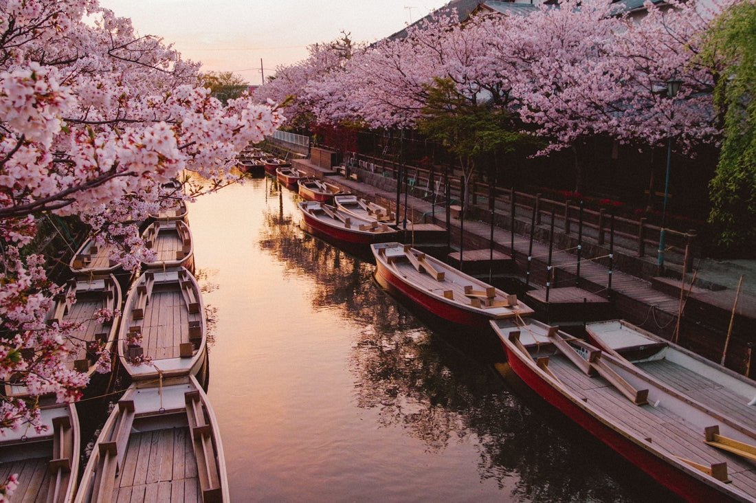 運気が駆け上がる午年に「柳川 流鏑馬」