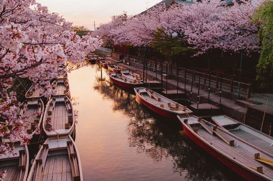運気が駆け上がる午年に「柳川 流鏑馬」