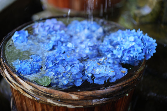 今年最後の紫陽花の花手水をご奉納いただきました